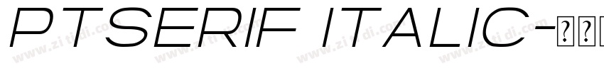 ptserif italic字体转换